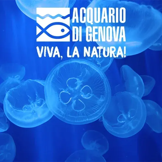 Offerte Biglietti Pranzo Acquario di Genova