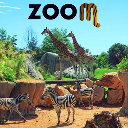 Zoom Torino biglietti scontati