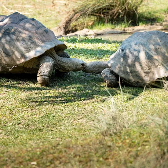 Parco Natura Viva Promozioni