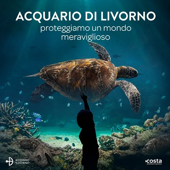 Acquario Di Livorno sconti sui biglietti