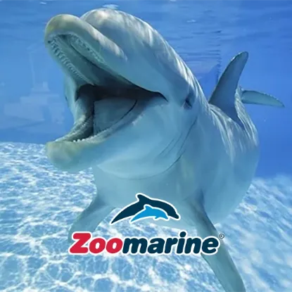 Zoomarine biglietti scontati